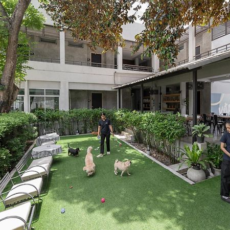 Ketawa Pet Friendly Hotel Čiang Mai Exteriér fotografie