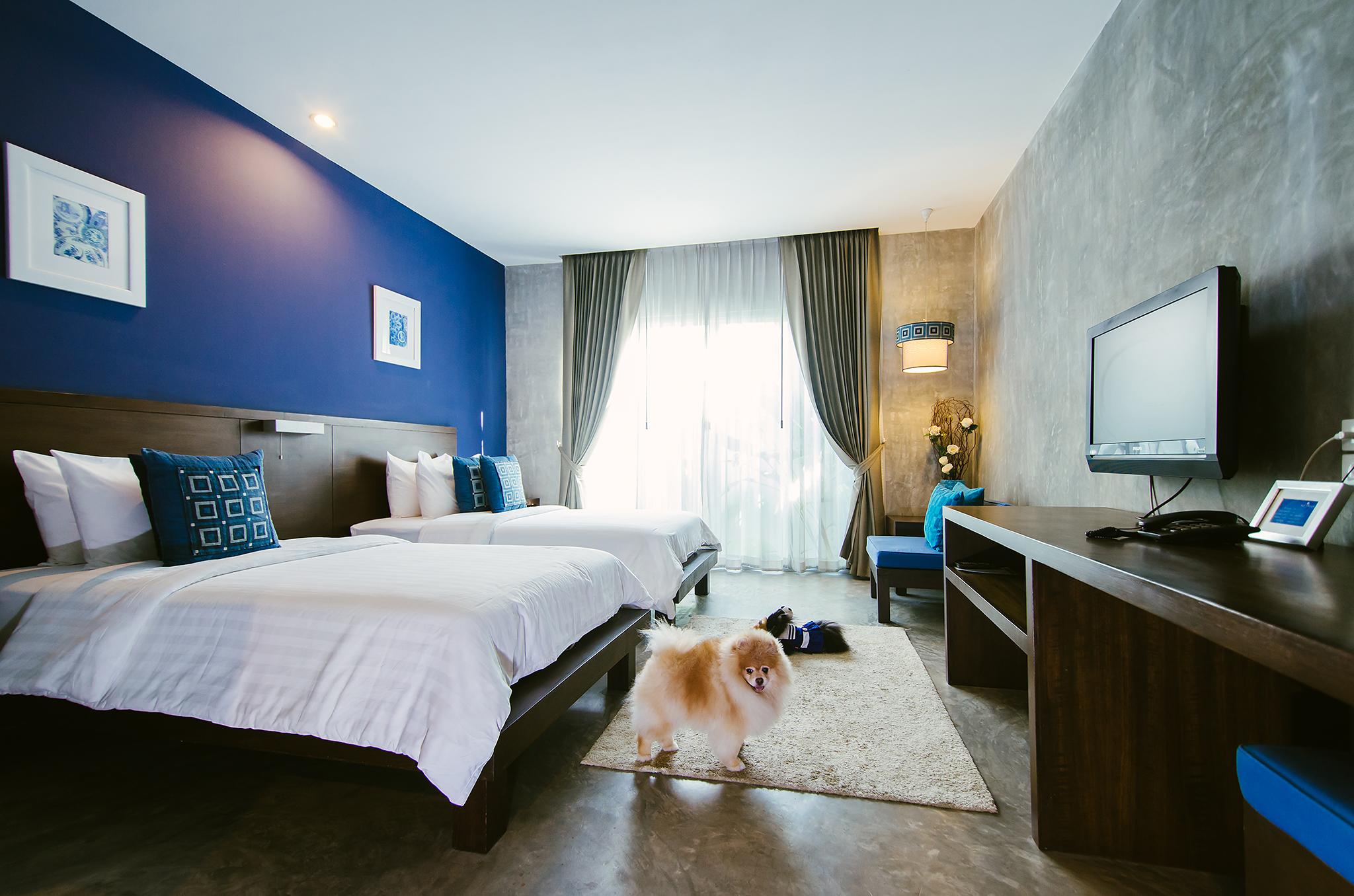 Ketawa Pet Friendly Hotel Čiang Mai Exteriér fotografie