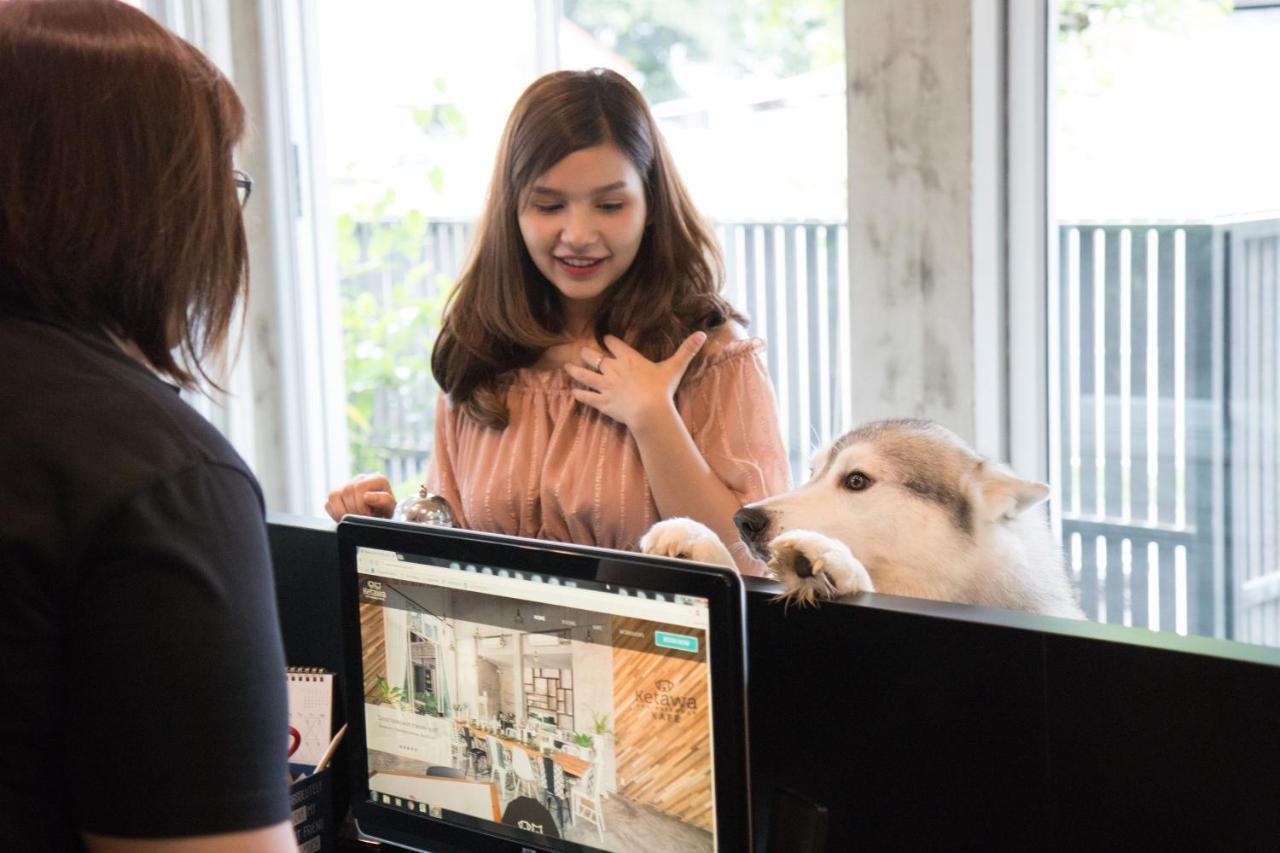 Ketawa Pet Friendly Hotel Čiang Mai Exteriér fotografie