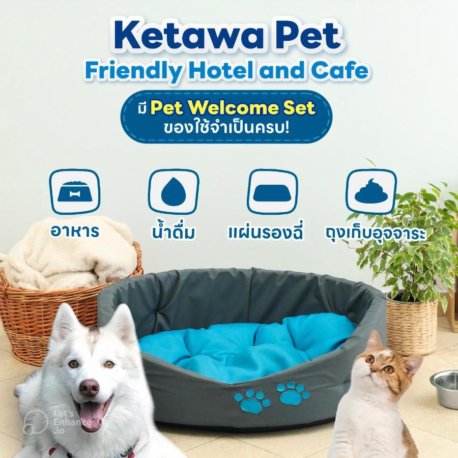 Ketawa Pet Friendly Hotel Čiang Mai Exteriér fotografie