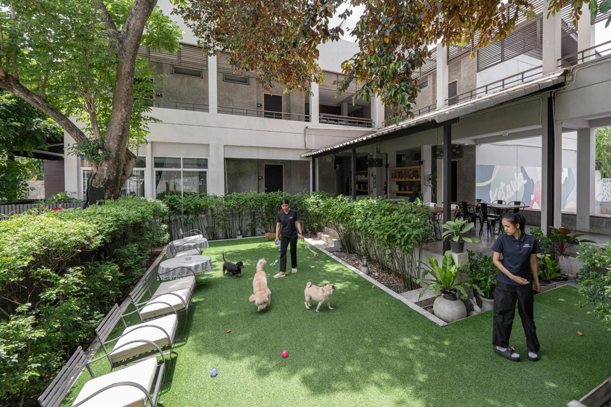 Ketawa Pet Friendly Hotel Čiang Mai Exteriér fotografie