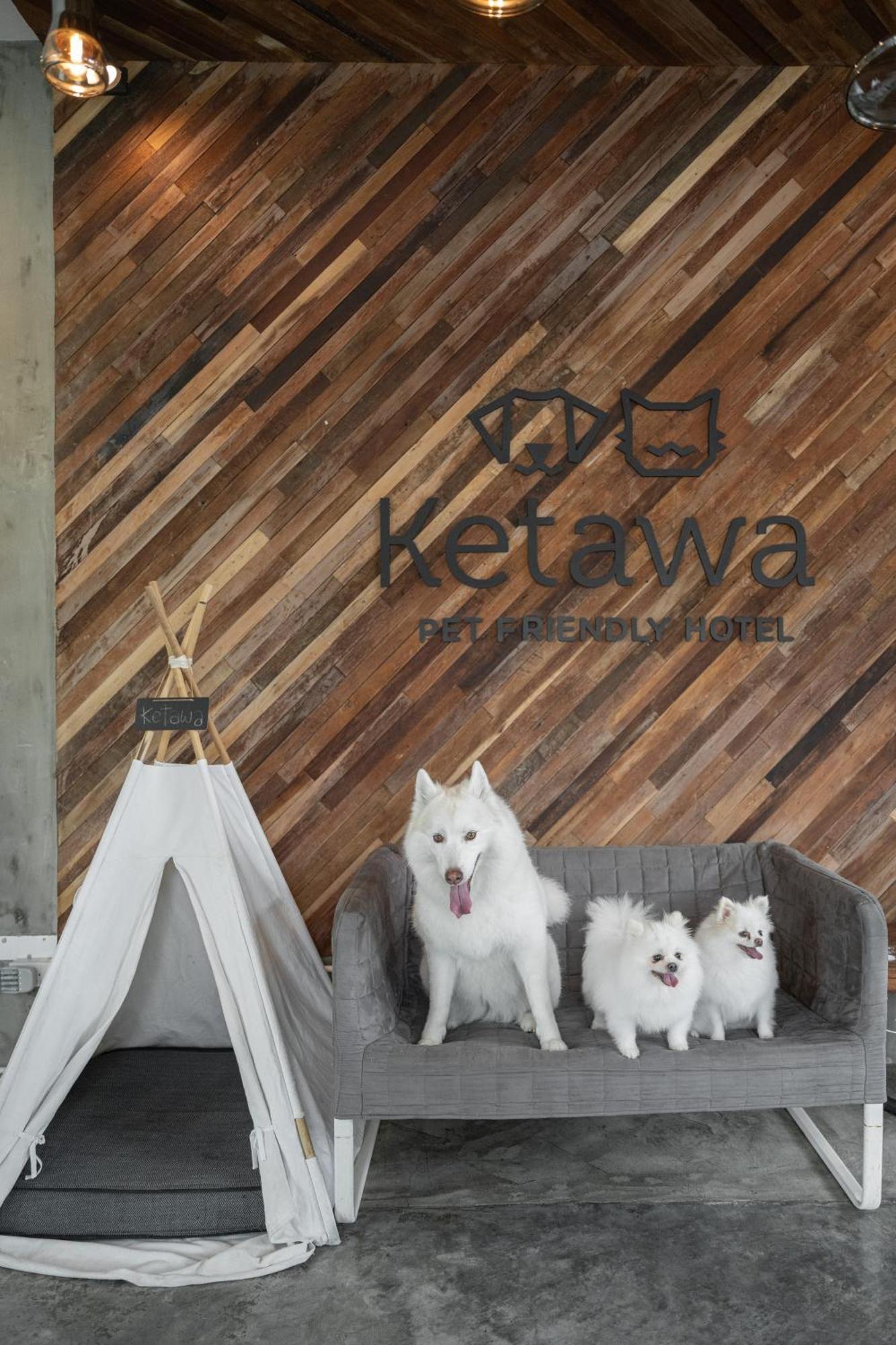 Ketawa Pet Friendly Hotel Čiang Mai Exteriér fotografie
