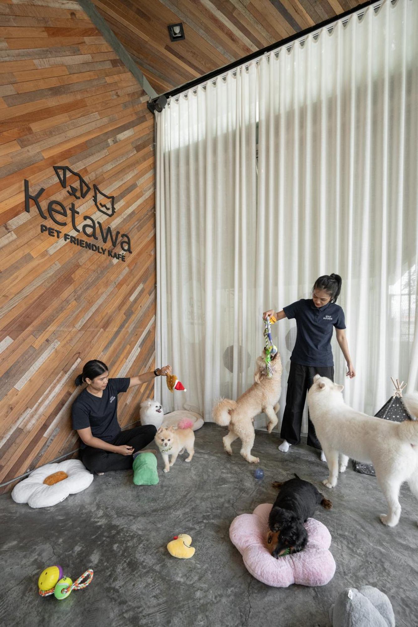 Ketawa Pet Friendly Hotel Čiang Mai Exteriér fotografie