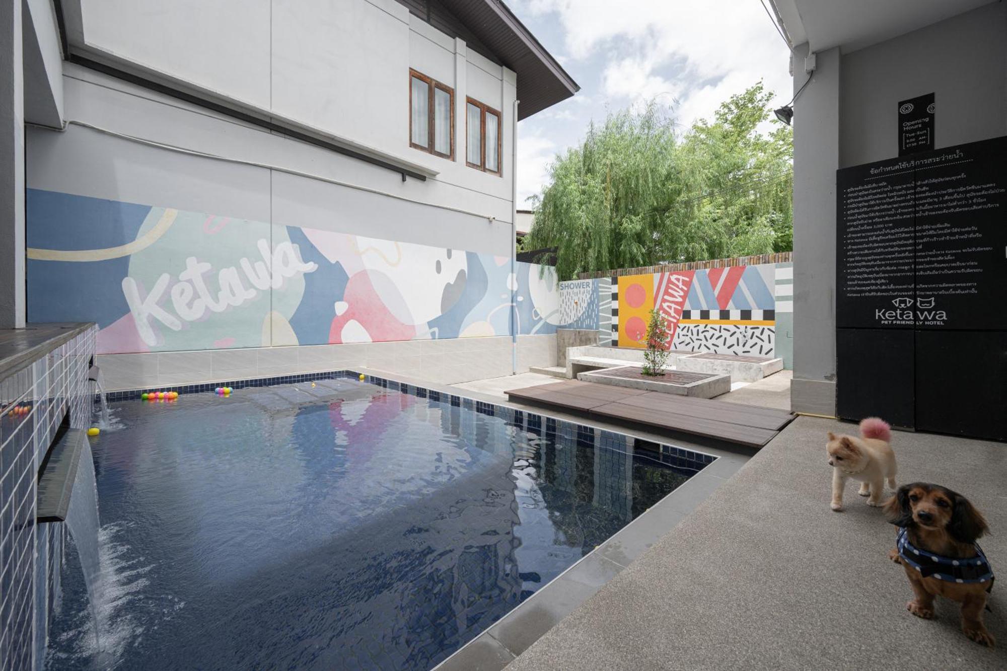 Ketawa Pet Friendly Hotel Čiang Mai Exteriér fotografie