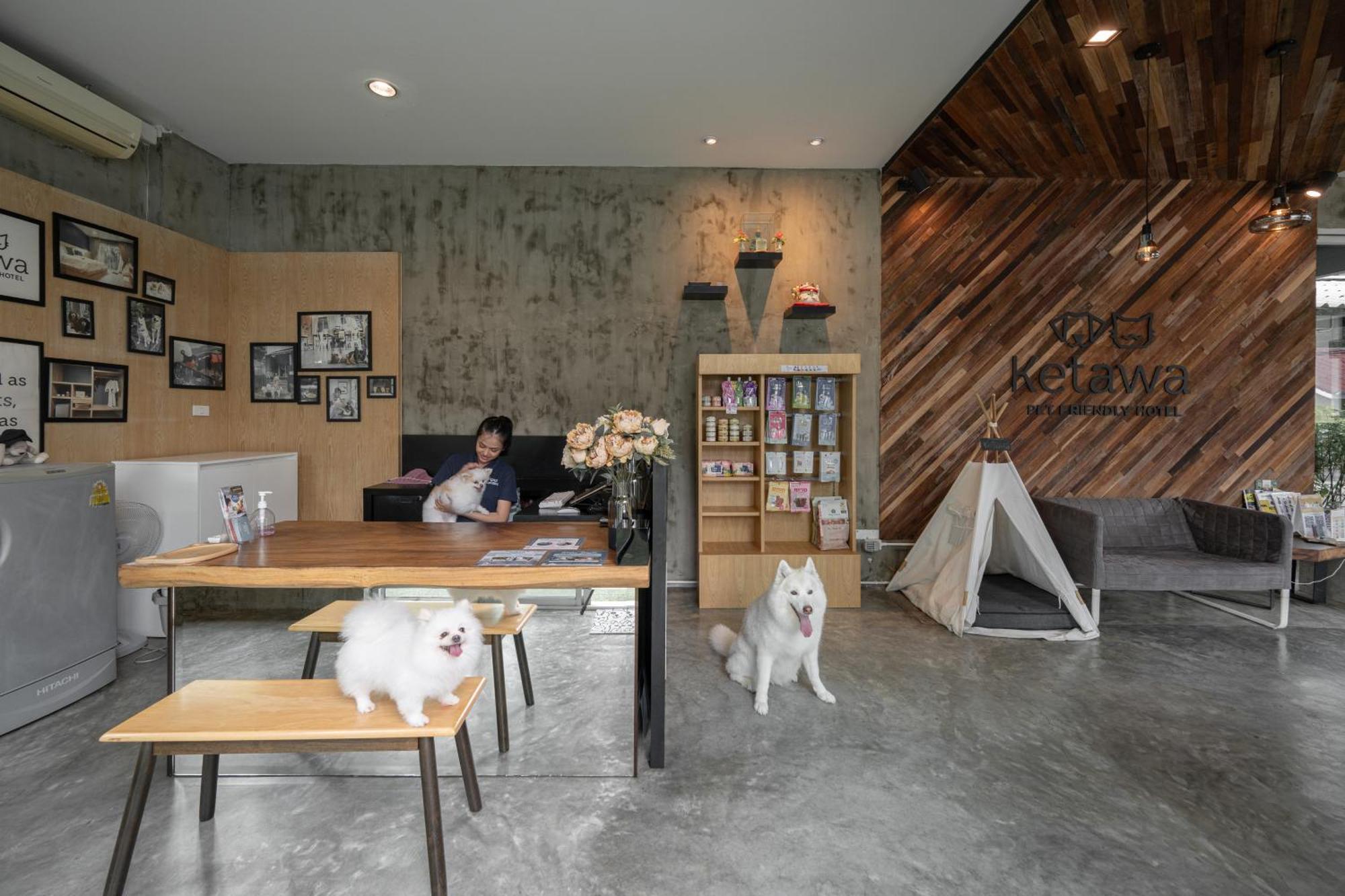 Ketawa Pet Friendly Hotel Čiang Mai Exteriér fotografie