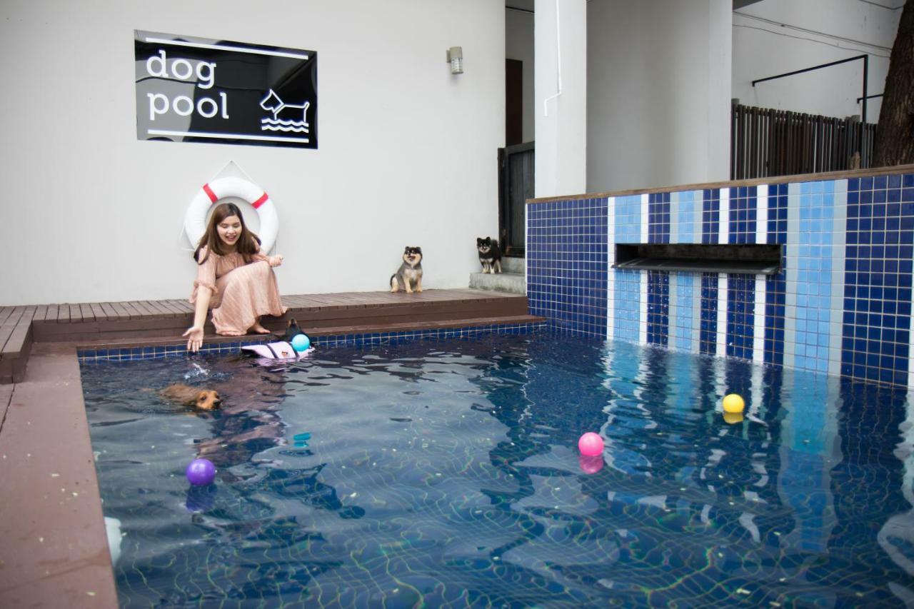Ketawa Pet Friendly Hotel Čiang Mai Exteriér fotografie